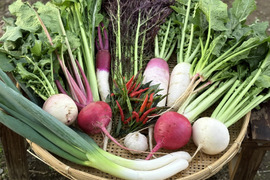 Mサイズ｜信州産｜旬野菜つめあわせ