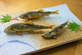天ぷらが最高！【小鮎】史上最小15gサイズ（冷凍）3パック
