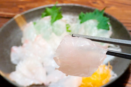 注文後活け締め！長崎県産【森育ちの高級ヒラメ】刺身用 5〜6人前 (安心・安全養殖平目)頭・骨セット 800g