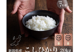 新潟県産コシヒカリ,和泉,20kg,令和7年新米,【受注後精米・農家直売】