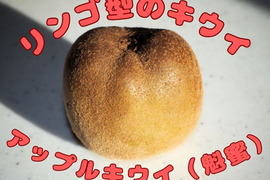 「アップルキウイ」甘い！黄色果肉種　1kg
