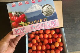 朝どれ！即日出荷！さくらんぼ　紅秀峰
