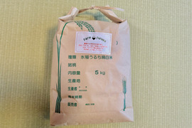 【新米・令和7年産】香る風味　信州安曇野産コシヒカリ　化学農薬・化学肥料不使用　白米5㎏