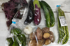 ミニ情熱野菜セット☆ひとり暮らしサイズ　60サイズ