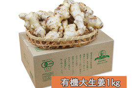 【マイルドで香り高い】有機大生姜(1kg入) こぶが大きく料理に使いやすい！