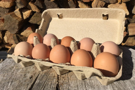 春はたまごの旬の季節！プリプリのはらっぱたまご10個入×３