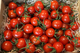 思わずほおばりたくなるコクと旨み〜受賞歴ありたっぷり1kg