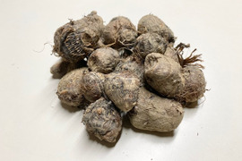農薬・除草剤・化学肥料不使用 里芋 （超小粒）さといも サトイモ 1kg 石川県産