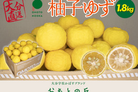 【数量限定】これからの季節の風味には柚子・ユズ（約1.8kg 14～20個）