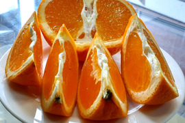 【母のにギフト】果汁たっぷり清見オレンジとっても美味４Kg冷蔵便