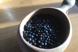 馬と育てた自然栽培　黒千石大豆　200g