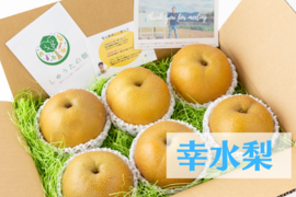 幸水　６～7玉【シャキッ！と食感♪】甘くてさっぱりな梨♪　福岡県産
　発送は７月下旬頃～お中元にもピッタリ！