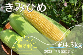 【激甘】幻のとうもろこし『きみひめ』約4.5kg