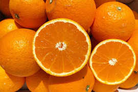 【愛媛県中島産】果汁たっぷり清見オレンジ　サイズ混合10キロ