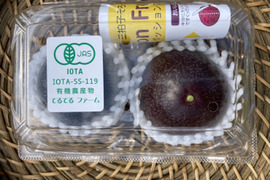 【終了間近】沖縄県産パッションフルーツ２玉入り【有機ＪＡＳ認証取得・化学合成農薬不使用】