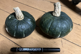 自然栽培冬至用坊ちゃんかぼちゃ2kg4-6玉