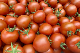 【お試し割中】艶り！ジューシー♥レッドオーレトマト🍅箱込2kg（約1.8ｋｇ）