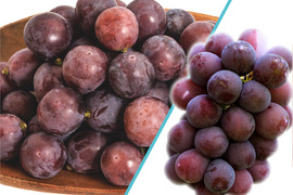 花笑み農園　岡山の訳ありニューピオーネ1kg【9/9～順次発送】WP-1