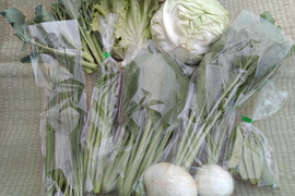 【始まりました！】旬の野菜セット８品目