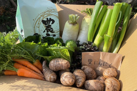 お米３.5kgと黒にんにく・いものこ＆季節野菜セット）