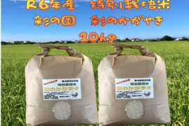 R5年産☆埼玉県産☆特別栽培米彩のかがやき　10㎏