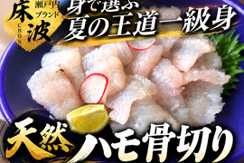 🐟夏のごちそう鱧🐟天然国産『ハモ』湯引き・天ぷら・鍋まで楽しむ長州床波ブランド☆鱧骨切りお試約350g【10月上中旬予約】