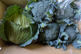 😊順ちゃんセット😊