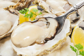 鍛え牡蠣 期間限定価格★ 旬です 今食べたい 広島牡蠣老舗の味!