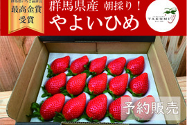 【贈答用】「群馬県いちご品評会最高金賞受賞」朝採れいちご　やよいひめ400g