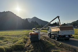 魚沼産コシヒカリ 5kg 精米 魚沼市産 令和7年産