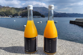 みかんよりみかんなストレートジュース　720ml × 2本