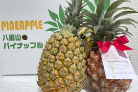 【母の日ギフト】石垣島産ピーチパインとスナックパインの食べ比べセット❗