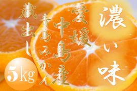 濃厚完熟　蔵出し　青島みかん　ご家庭用・5ｋｇ