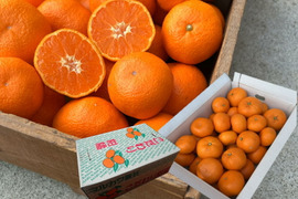 濃甘っ！黄金熟成で晩生品種のみかん本来の甘さや旨さを最大限に！食べるみかんジュース！これぞ！まさにトップ・オブ・ザ・みかん！超熟みかん「熟太郎（じゅくたろう）」　お試し品　サイズ混合　５kg【627】