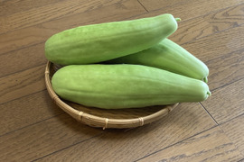【白瓜】「あさじ白瓜」奈良漬用；農薬・化学肥料無使用