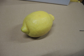 レモン規格外6kg特別栽培認証