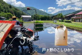 令和8年産新米 戸ヶ野のこしひかり5㎏  11月発送