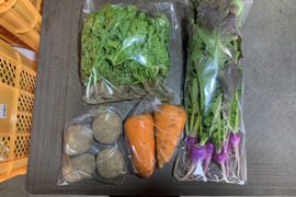 【自然栽培】4品目お試し旬のお野菜セット