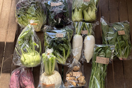 【贈り物にも！】彩り豊かな野菜の秋冬野菜10種類前後/めずらしい野菜も入ってるかも？【農薬・化学肥料不使用】