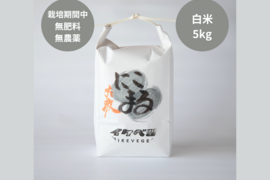 【予約商品】【令和7年産】大粒にこまる×越後テノワール 新潟県佐渡産 栽培期間中農薬・化学肥料不使用米『にこまる』 白米5kg