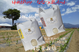 富良野令和7年産ゆめぴりか、ななつぼし【5kgセット】