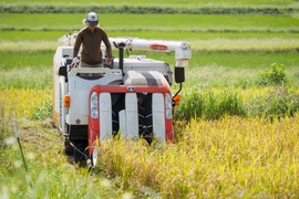 【有機JAS】令和7年新米 山の水で育てた棚田のお米【きらみずき】農薬・化学肥料不使用 2.5kg