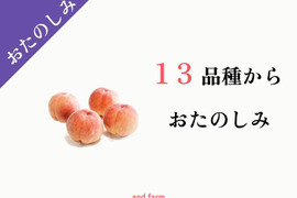 【13品種から何が届くかお楽しみ！】 旬の桃をベストな時期にお届け！約4kg 約10~14玉