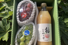 【5箱限定】ジュースとぶどうの人気シリーズ♪ 丸ごと桃搾り&赤緑ぶどう食べ比べ（クイーンニーナとシャインマスカット）