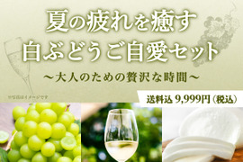 【限定25セット】 ご自愛セット／白ぶどう🍇（食べチョク公式）