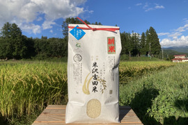 【令和6年新米】「長野県産　五百川」信州茅野 米沢吉田米　精米5㎏