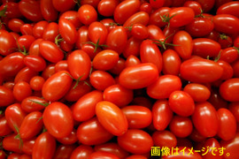 【訳あり】島根県江津市産☆　スパルタ生まれのひみこ（ミニトマト）　2kg入り