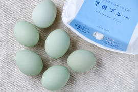 【母の日ギフト！メッセージカード付】オメガ３が普通の卵の４倍！24時間放牧養鶏卵、12個(6個×2パック)アローカナの産む幸せの青い卵、下田ブルー！！