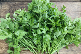 富山県産 イタリアンパセリ 約200g