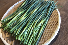 ほくほくで甘い♪国産ニンニクの芽1kg☆有機JAS認証≪収穫次第発送予定≫